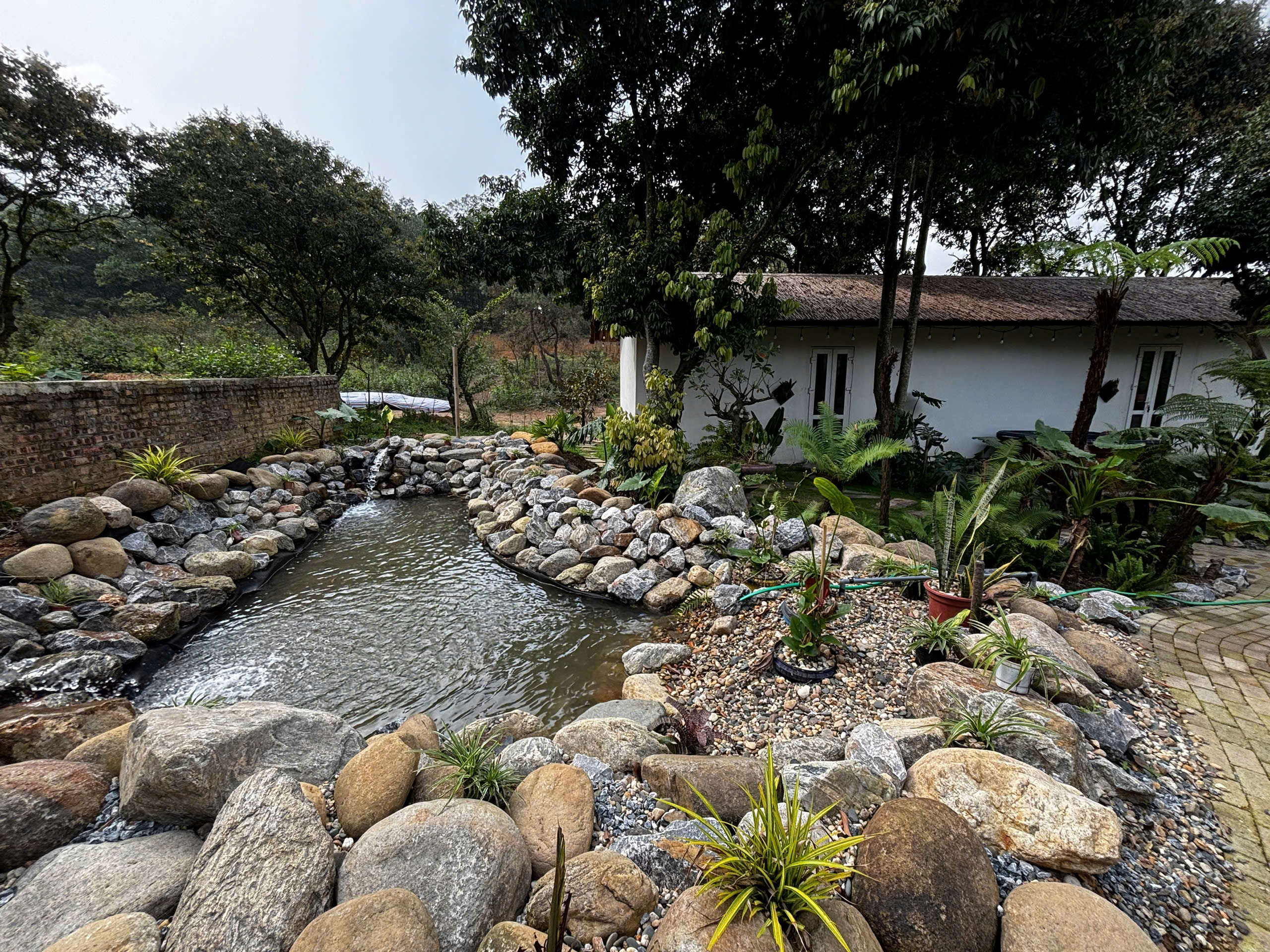 Suối đá tự nhiên