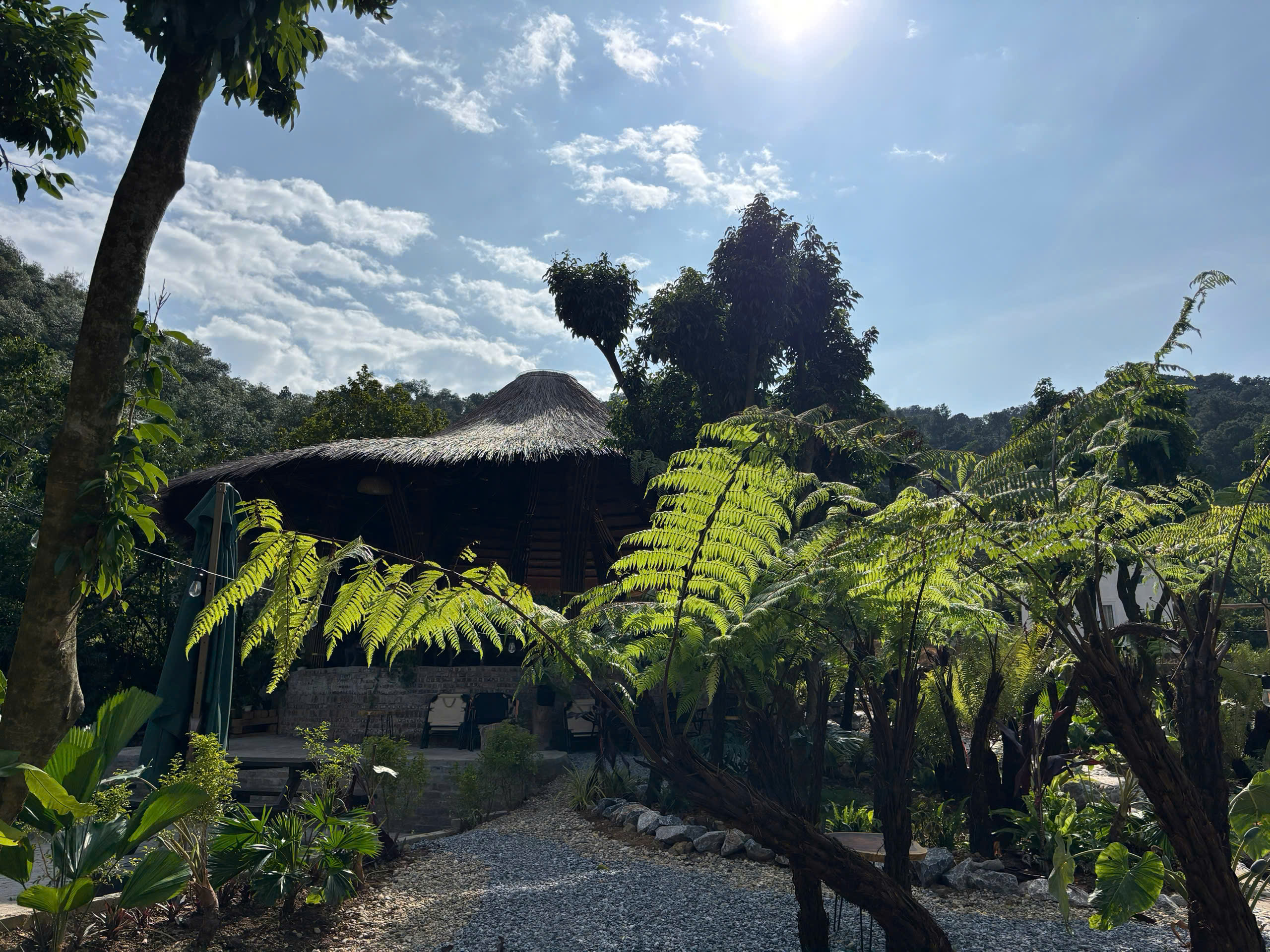 Bungalow tre trong vườn
